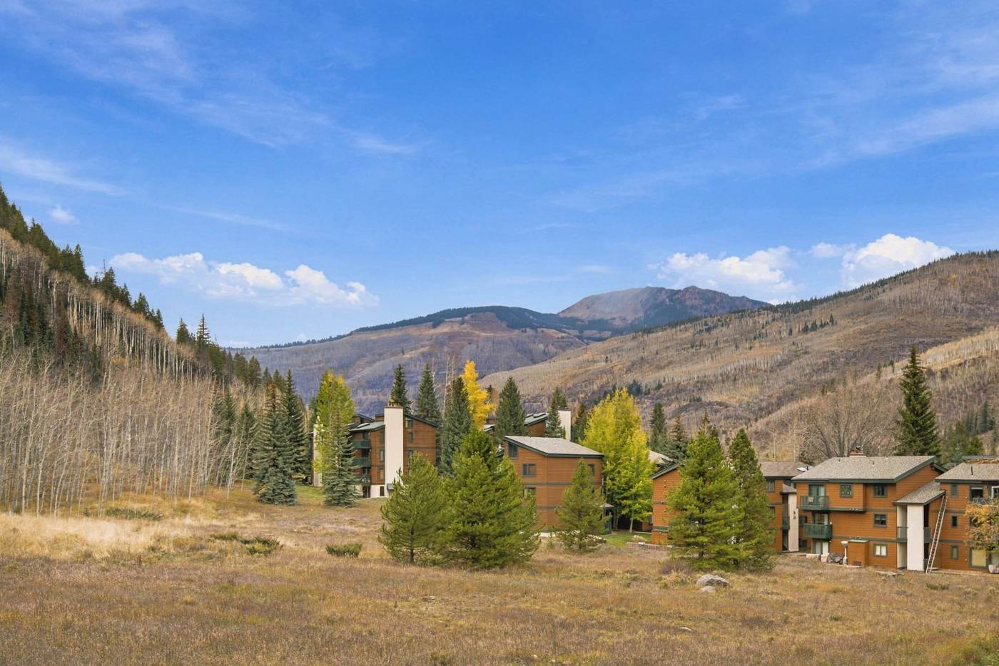 View of the meadow and surrounding community