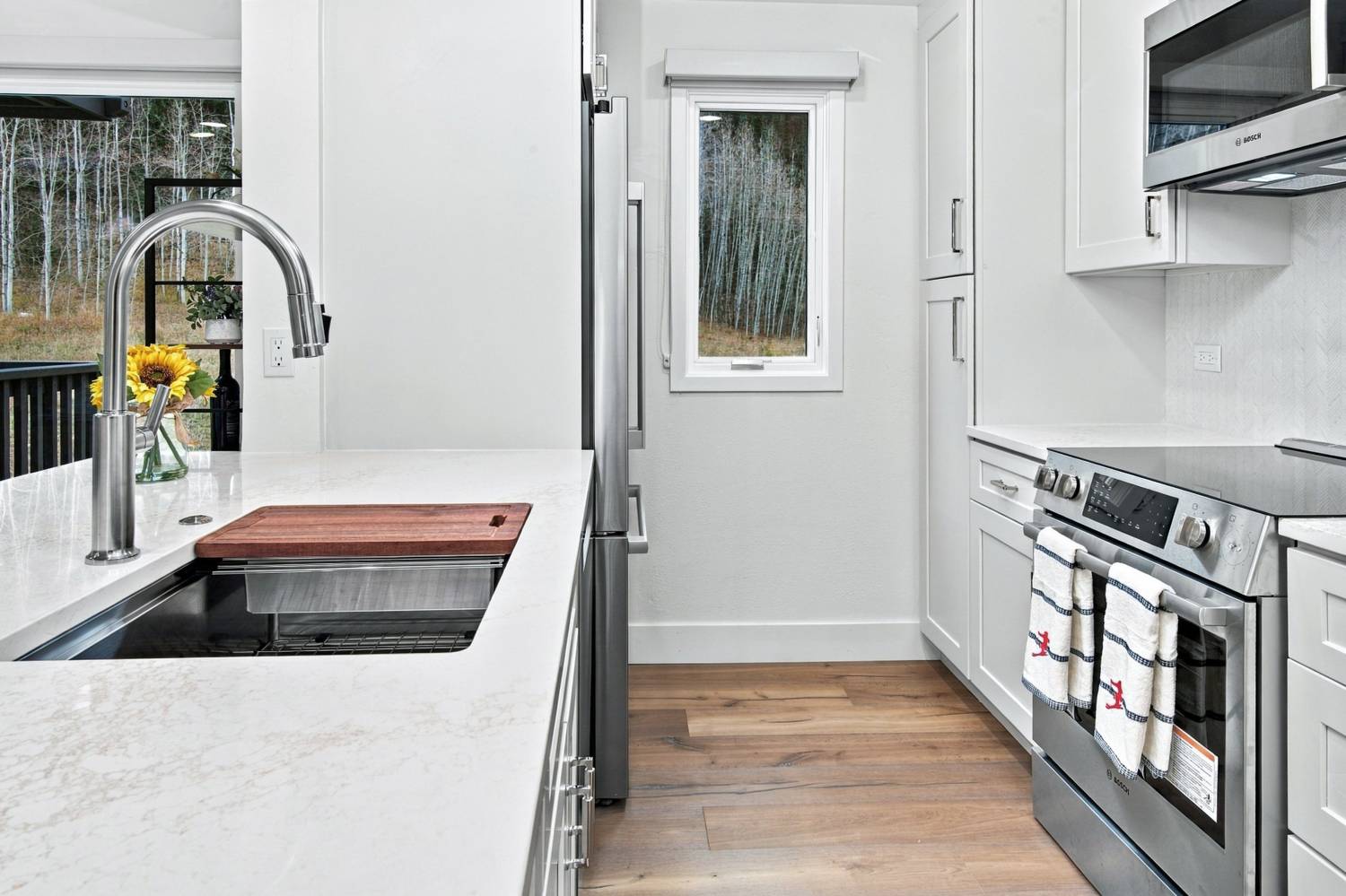Kitchen sink and Bosch range