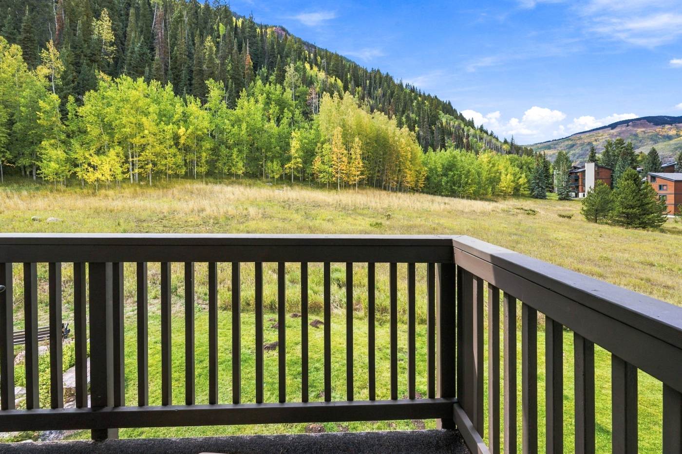 Deck with meadow and mountain views