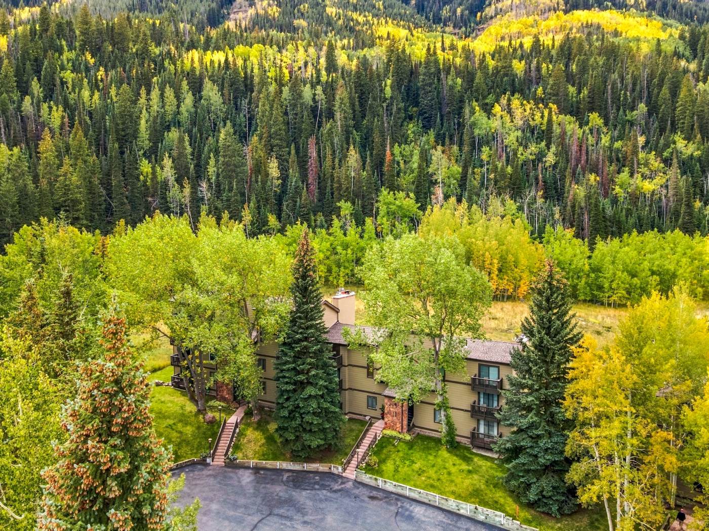 Aerial view of Building 9 and forest